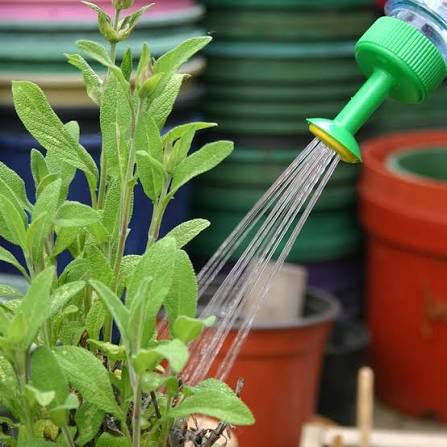 Bottle Top Waterer