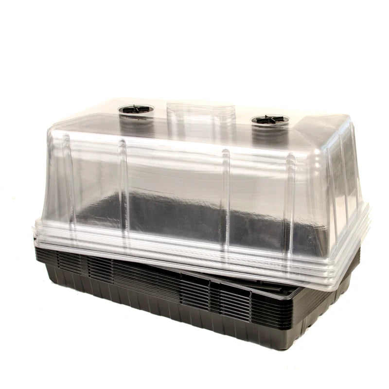 High Dome Propagator