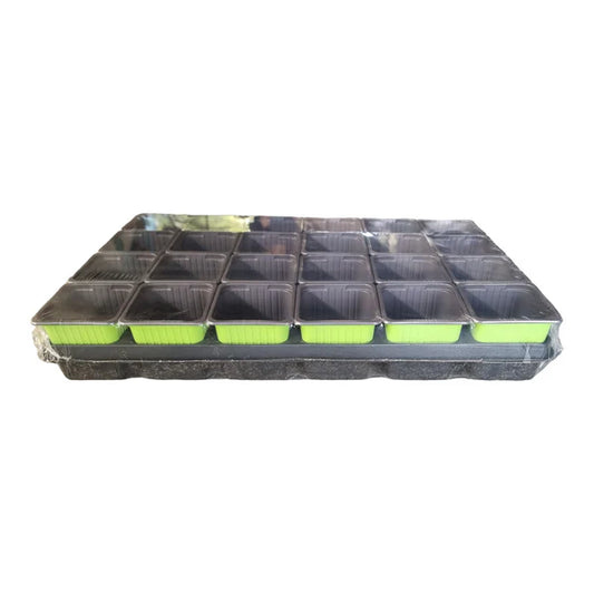 Carry Tray With 24 X 7cm X 7cm Square Pots