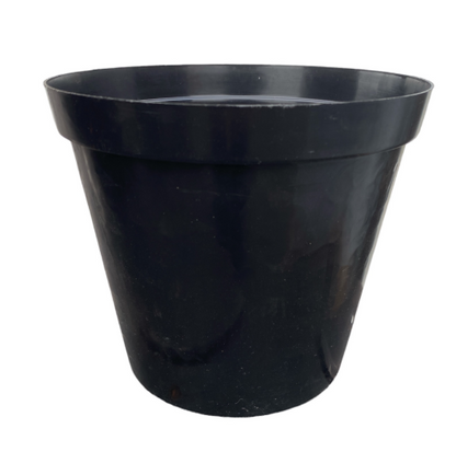 Round PC Pot