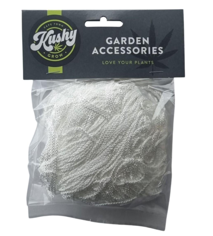 Trellis Net