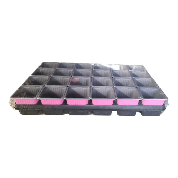 Carry Tray With 24 X 7cm X 7cm Square Pots
