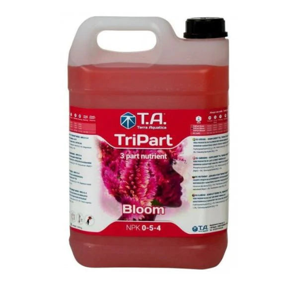 Terra Tripart Bloom